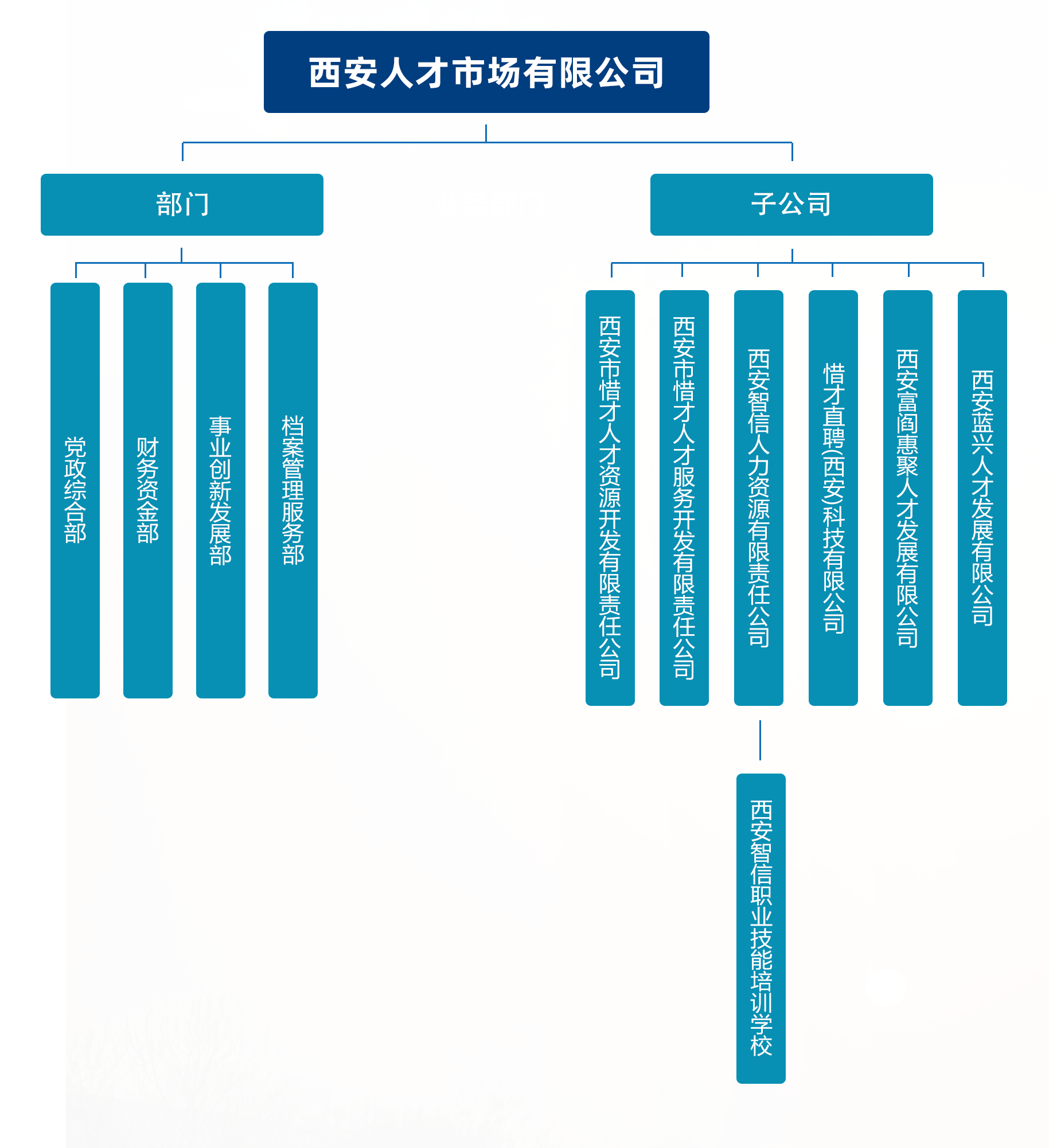 組織架構(gòu)20250909-54x26cm.png